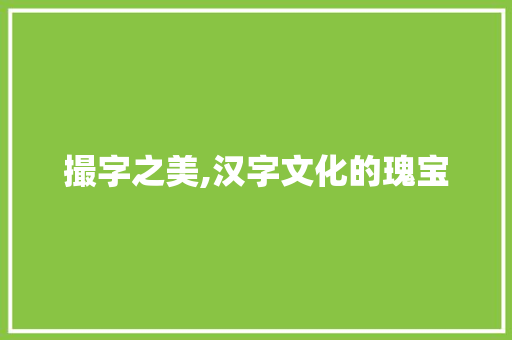 撮字之美,汉字文化的瑰宝