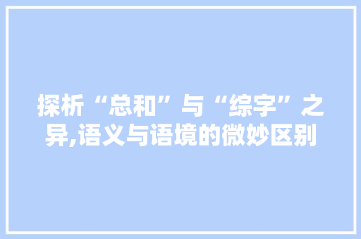探析“总和”与“综字”之异,语义与语境的微妙区别