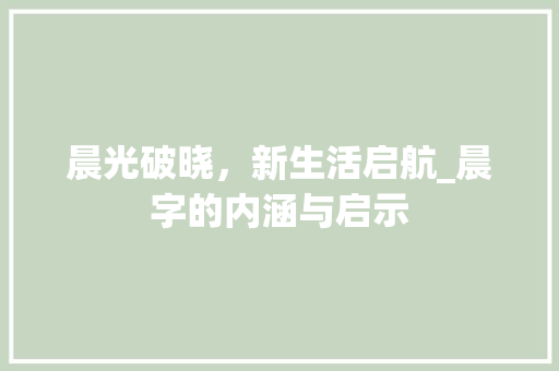 晨光破晓，新生活启航_晨字的内涵与启示