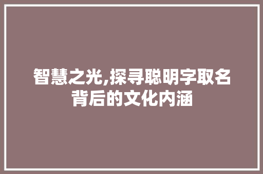 智慧之光,探寻聪明字取名背后的文化内涵
