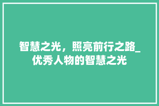 智慧之光，照亮前行之路_优秀人物的智慧之光