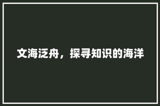 文海泛舟，探寻知识的海洋