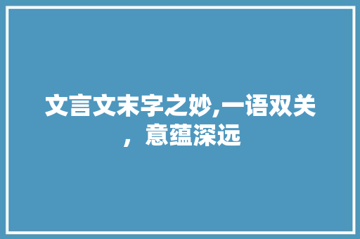 文言文末字之妙,一语双关，意蕴深远  第1张