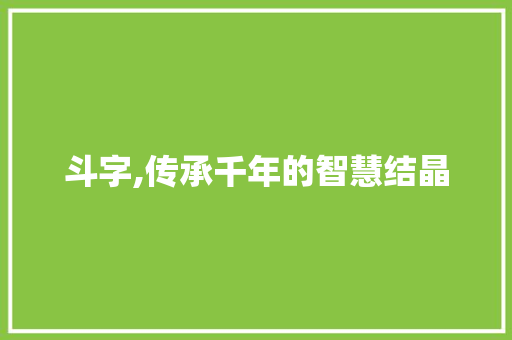 斗字,传承千年的智慧结晶