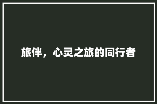 旅伴，心灵之旅的同行者