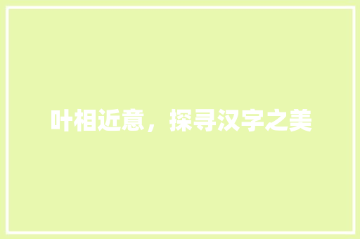 叶相近意，探寻汉字之美
