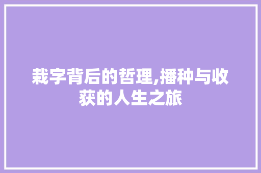 栽字背后的哲理,播种与收获的人生之旅