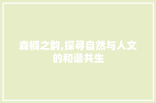 森榈之韵,探寻自然与人文的和谐共生