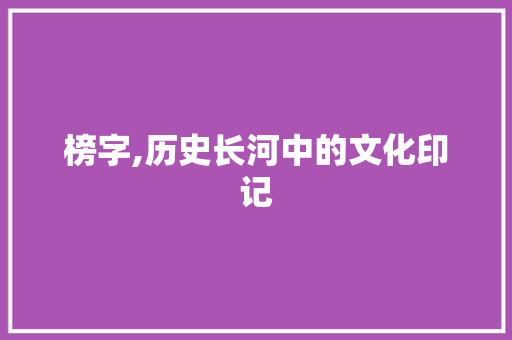 榜字,历史长河中的文化印记