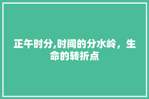 正午时分,时间的分水岭，生命的转折点