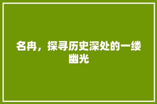 名冉，探寻历史深处的一缕幽光  第1张