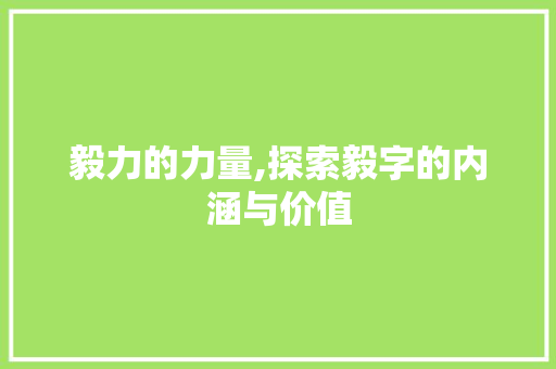 毅力的力量,探索毅字的内涵与价值