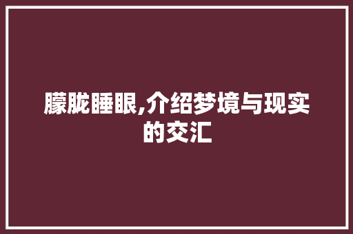 朦胧睡眼,介绍梦境与现实的交汇