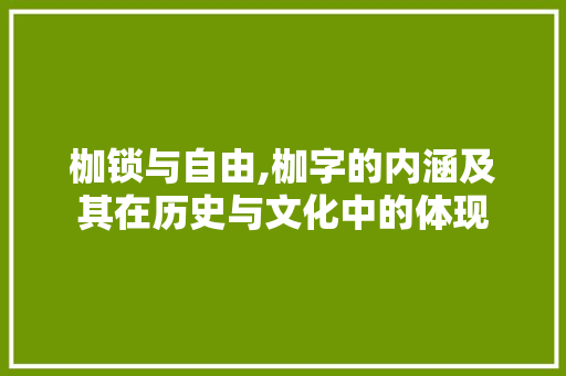 枷锁与自由,枷字的内涵及其在历史与文化中的体现