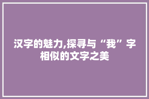 汉字的魅力,探寻与“我”字相似的文字之美