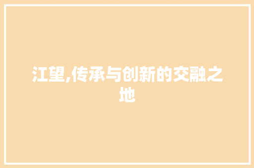 江望,传承与创新的交融之地