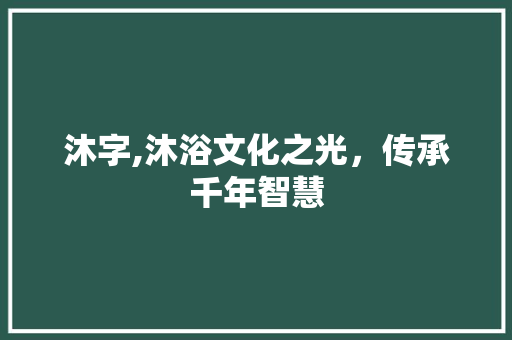 沐字,沐浴文化之光,传承千年智慧