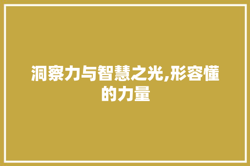 洞察力与智慧之光,形容懂的力量