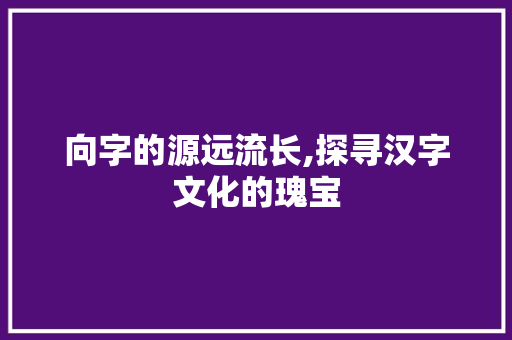 向字的源远流长,探寻汉字文化的瑰宝