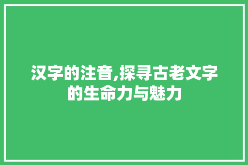 汉字的注音,探寻古老文字的生命力与魅力
