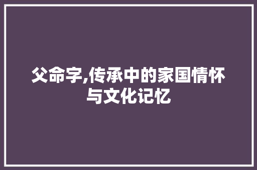 父命字,传承中的家国情怀与文化记忆