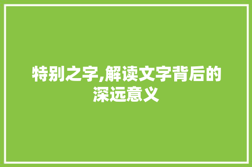 特别之字,解读文字背后的深远意义