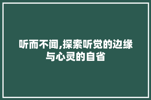 听而不闻,探索听觉的边缘与心灵的自省