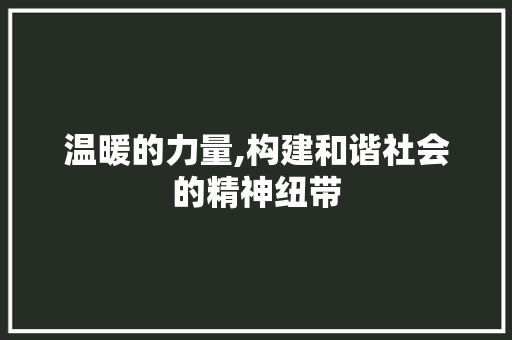 温暖的力量,构建和谐社会的精神纽带