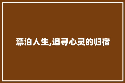 漂泊人生,追寻心灵的归宿