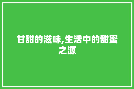 甘甜的滋味,生活中的甜蜜之源