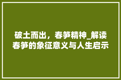 破土而出，春笋精神_解读春笋的象征意义与人生启示
