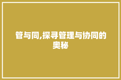 管与同,探寻管理与协同的奥秘