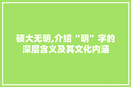 硕大无明,介绍“明”字的深层含义及其文化内涵