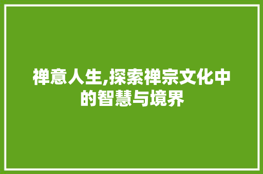 禅意人生,探索禅宗文化中的智慧与境界