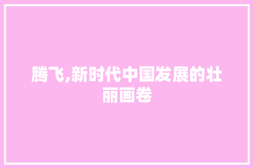 腾飞,新时代中国发展的壮丽画卷