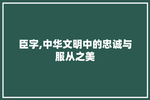臣字,中华文明中的忠诚与服从之美