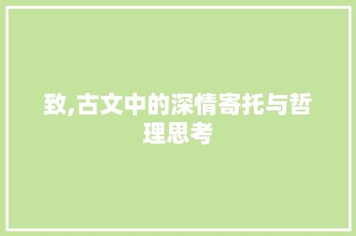 致,古文中的深情寄托与哲理思考