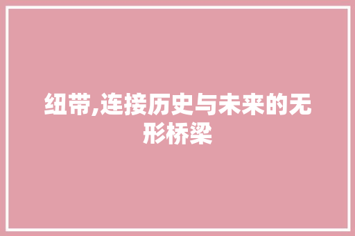 纽带,连接历史与未来的无形桥梁