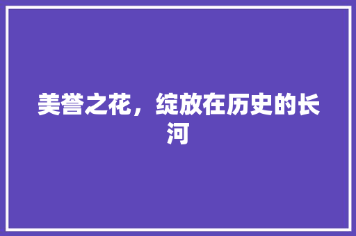 美誉之花，绽放在历史的长河