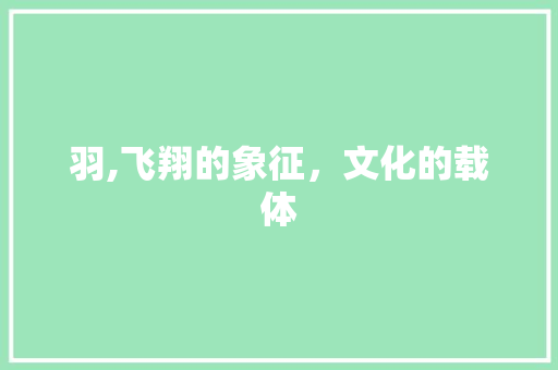 羽,飞翔的象征，文化的载体