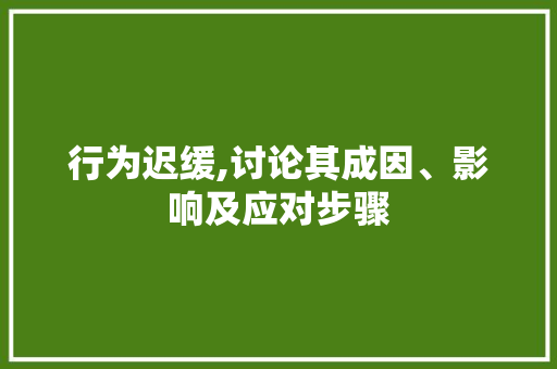 行为迟缓,讨论其成因、影响及应对步骤