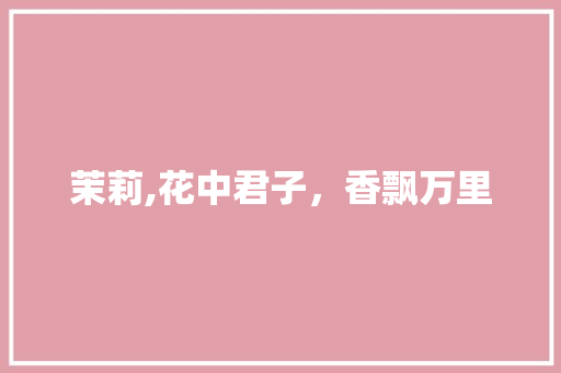 茉莉,花中君子，香飘万里
