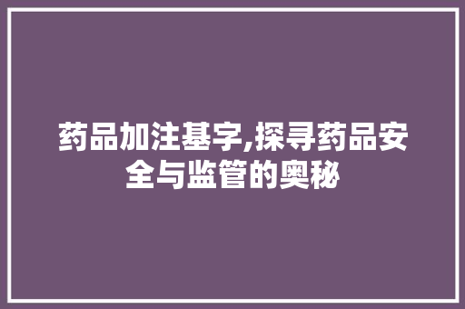 药品加注基字,探寻药品安全与监管的奥秘
