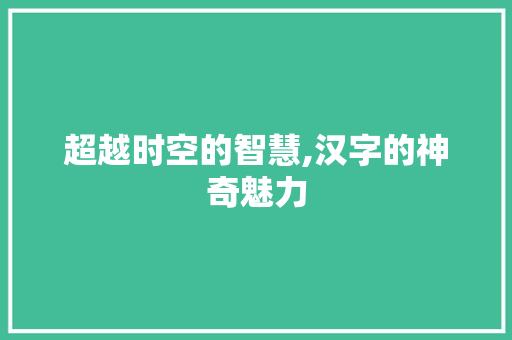 超越时空的智慧,汉字的神奇魅力