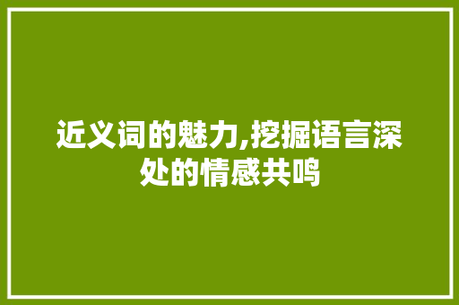 近义词的魅力,挖掘语言深处的情感共鸣