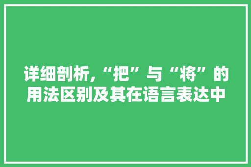 详细剖析,“把”与“将”的用法区别及其在语言表达中的重要性