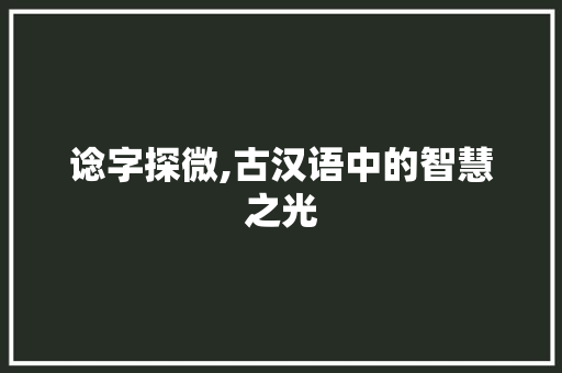 谂字探微,古汉语中的智慧之光