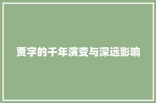 贾字的千年演变与深远影响