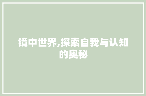 镜中世界,探索自我与认知的奥秘