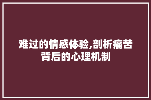 难过的情感体验,剖析痛苦背后的心理机制
